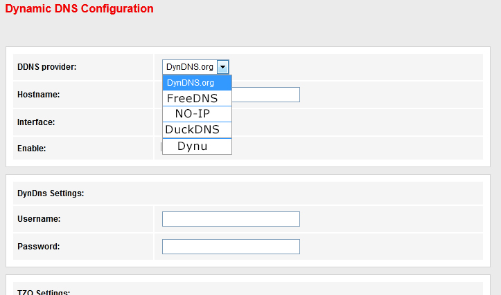 This picture shows the DDNS providers